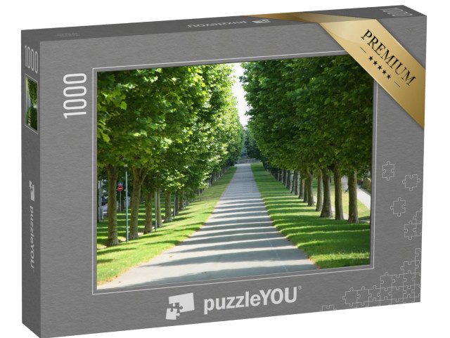 Puzzle de 1000 pièces « Cours Dajot, jardin public avec allées d'ormes, haies de buis et pelouses »