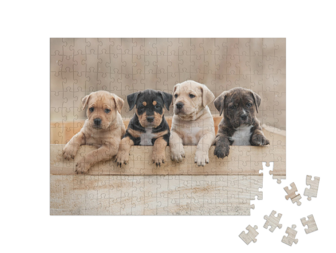 Puzzle de 200 pièces « Chiots Staffordshire Terrier américain dans un box »