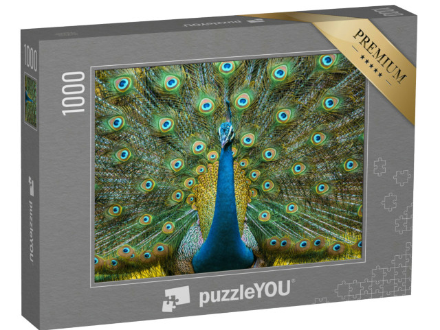 Puzzle de 1000 pièces « Peacock, oiseau national de l'Inde »