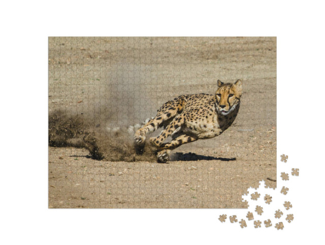 Puzzle de 1000 pièces « Guépard »