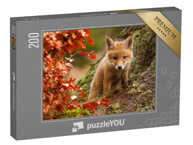Puzzle de 200 pièces « Jeune renard curieux »