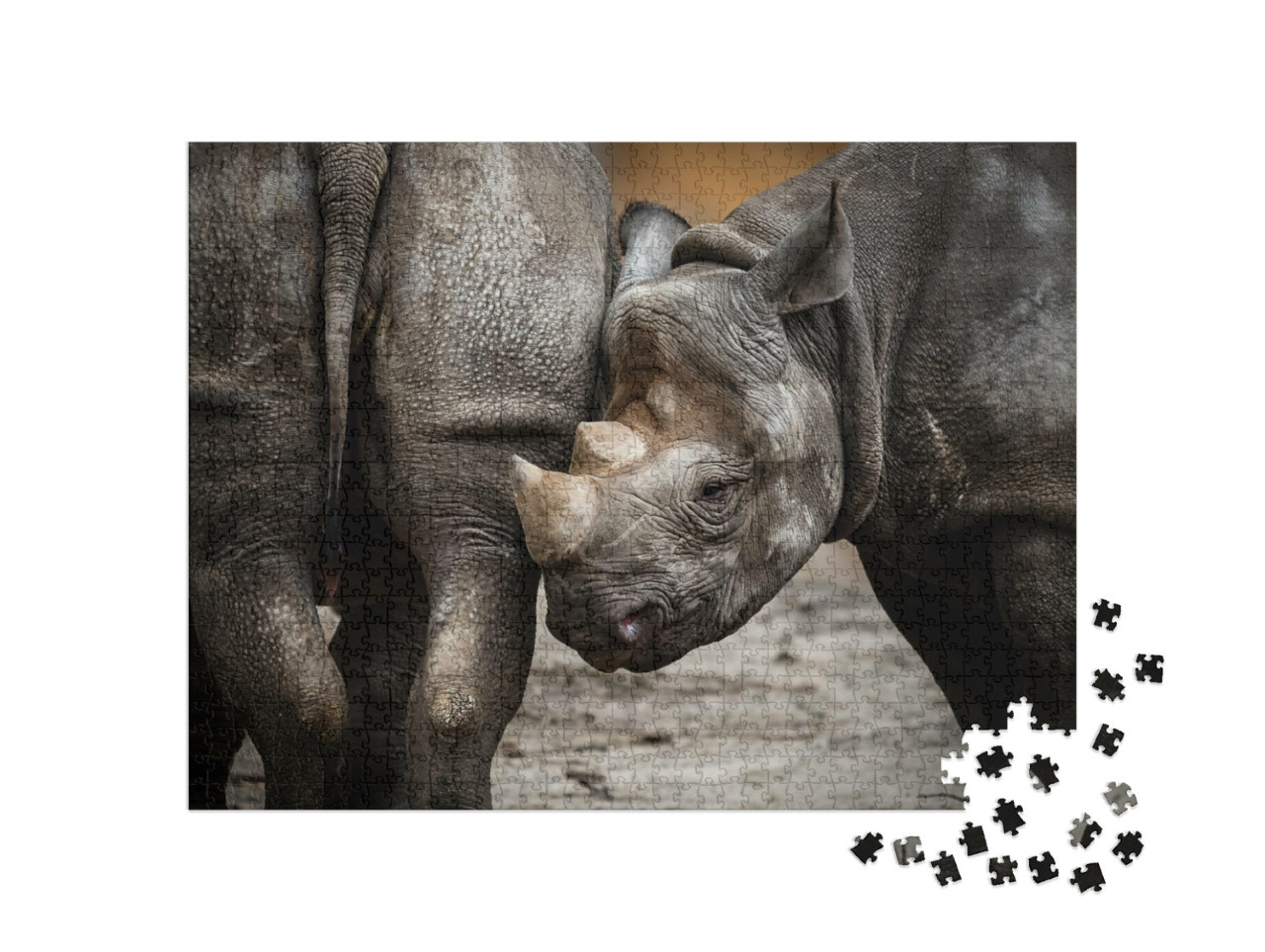 Puzzle de 1000 pièces « Un petit rhinocéros »
