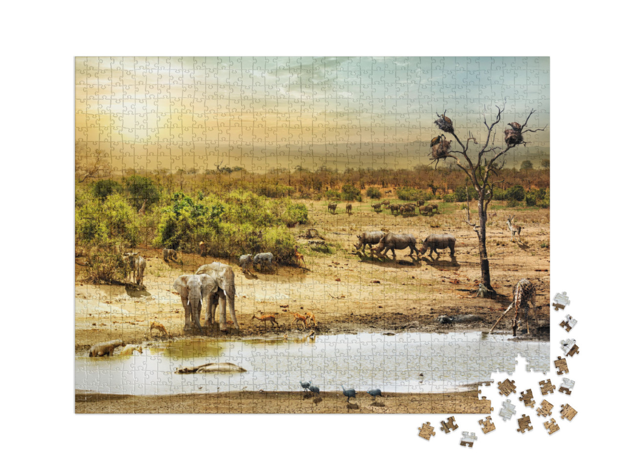 Puzzle 1000 pièces XXL « Animaux au point d'eau au coucher du soleil désert sud-africain »