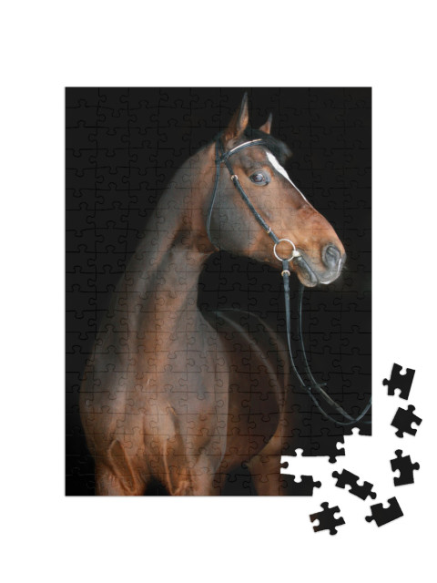 Puzzle de 200 pièces « Cheval brun »