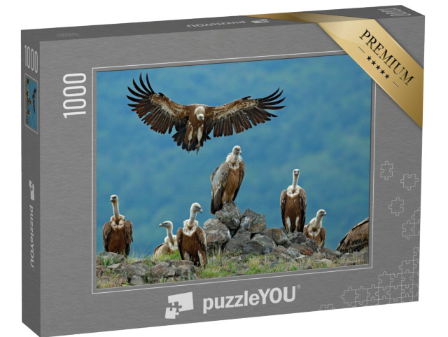 Puzzle de 1000 pièces « Groupe de vautours fauves dans leur habitat naturel »