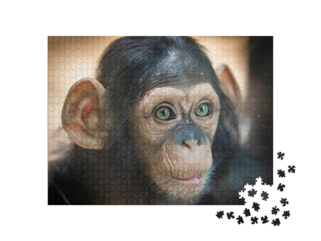 Puzzle de 1000 pièces « Portrait d'un bébé chimpanzé à Pilsen, République tchèque »