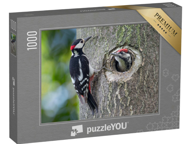 Puzzle de 1000 pièces « Nid de pics épeiches avec père et fils »