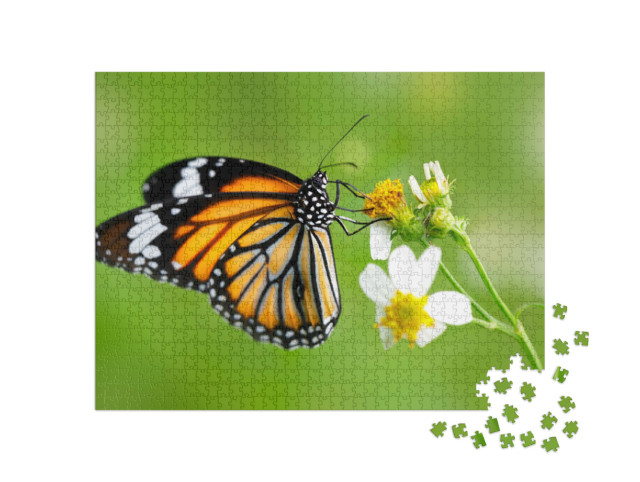 Puzzle de 1000 pièces « Papillon du genre tigre commun sur une fleur »