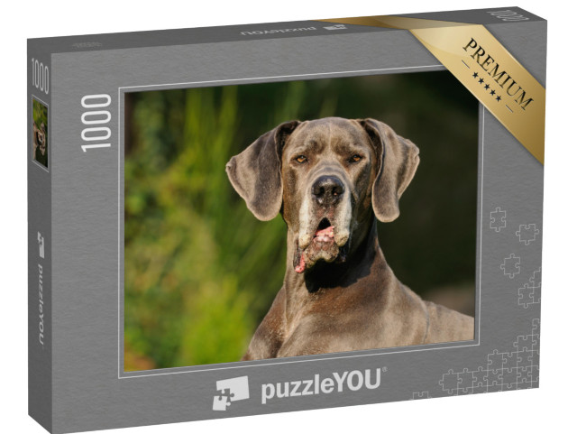 Puzzle de 1000 pièces « Dogue allemand »