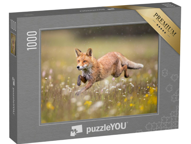 Puzzle de 1000 pièces « Renard au galop dans une prairie fleurie »