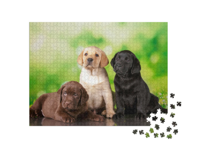 Puzzle de 1000 pièces « Triplement mignon : un chiot labrador brun, un doré et un noir »