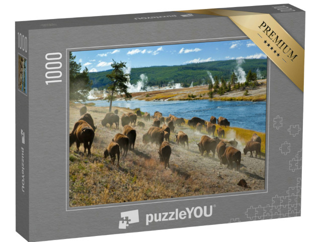 Puzzle de 1000 pièces « Eine Bisonherde am Firehole River im Yellowstone Nationalpark »