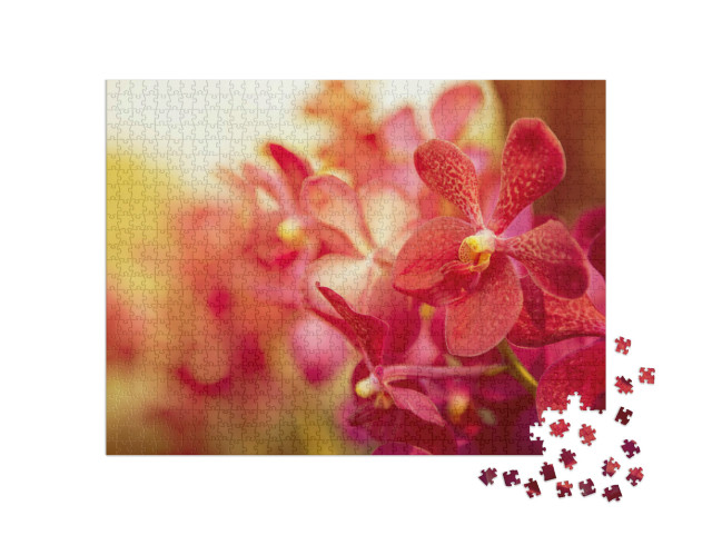 Puzzle de 1000 pièces « Magnifique orchidée dans la lumière du soir »
