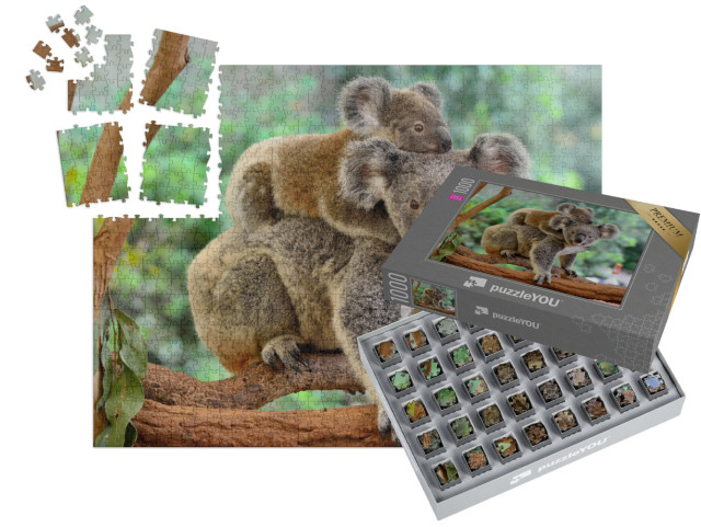 SMART SORTED® | Puzzle photo 1000 pièces « Mère koala avec bébé sur le dos sur un eucalyptus »