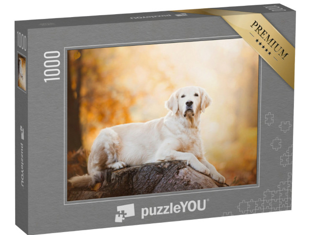 Puzzle de 1000 pièces « Golden retriever attentif »