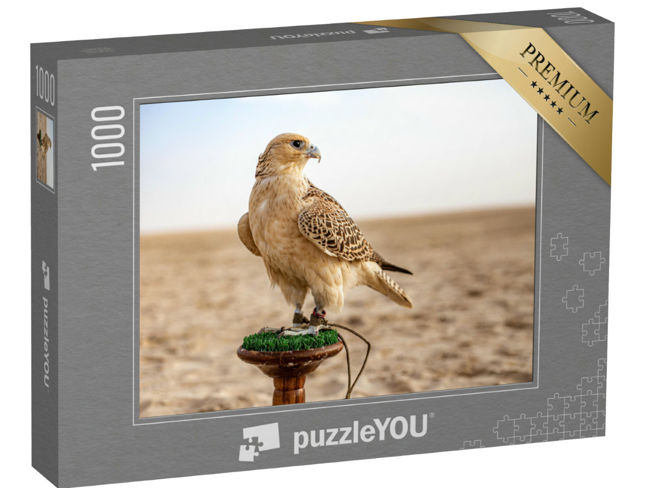Puzzle de 1000 pièces « Un faucon attentif dans le désert »