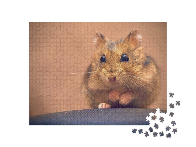 Puzzle de 1000 pièces « Adorable hamster brun »