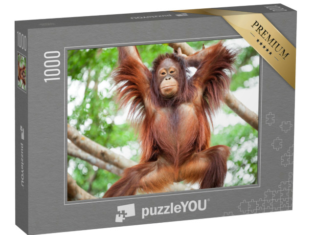 Puzzle de 1000 pièces « Orang-outan »