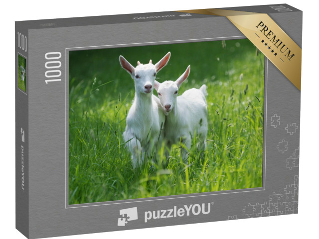 Puzzle de 1000 pièces « Deux bébés chèvres dans l'herbe haute de l'été »