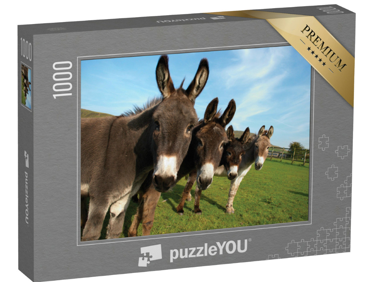 Puzzle de 1000 pièces « Groupe d'ânes dans un champ »