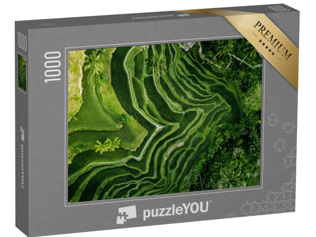 Puzzle de 1000 pièces « Plantation de riz à Bali vue d'en haut, Indonésie »