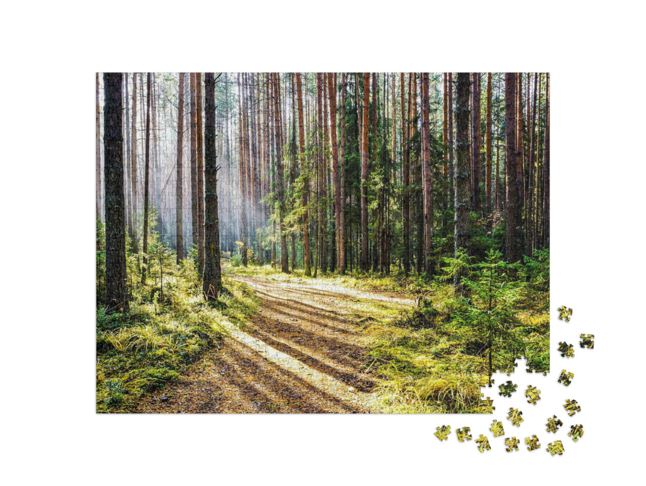 Puzzle de 1000 pièces « Chemin dans la forêt paisible avec des rayons de soleil »