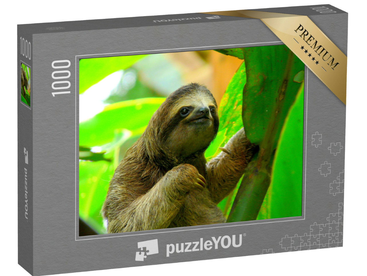 Puzzle de 1000 pièces « Paresseux à Puerto Viejo, Costa Rica »