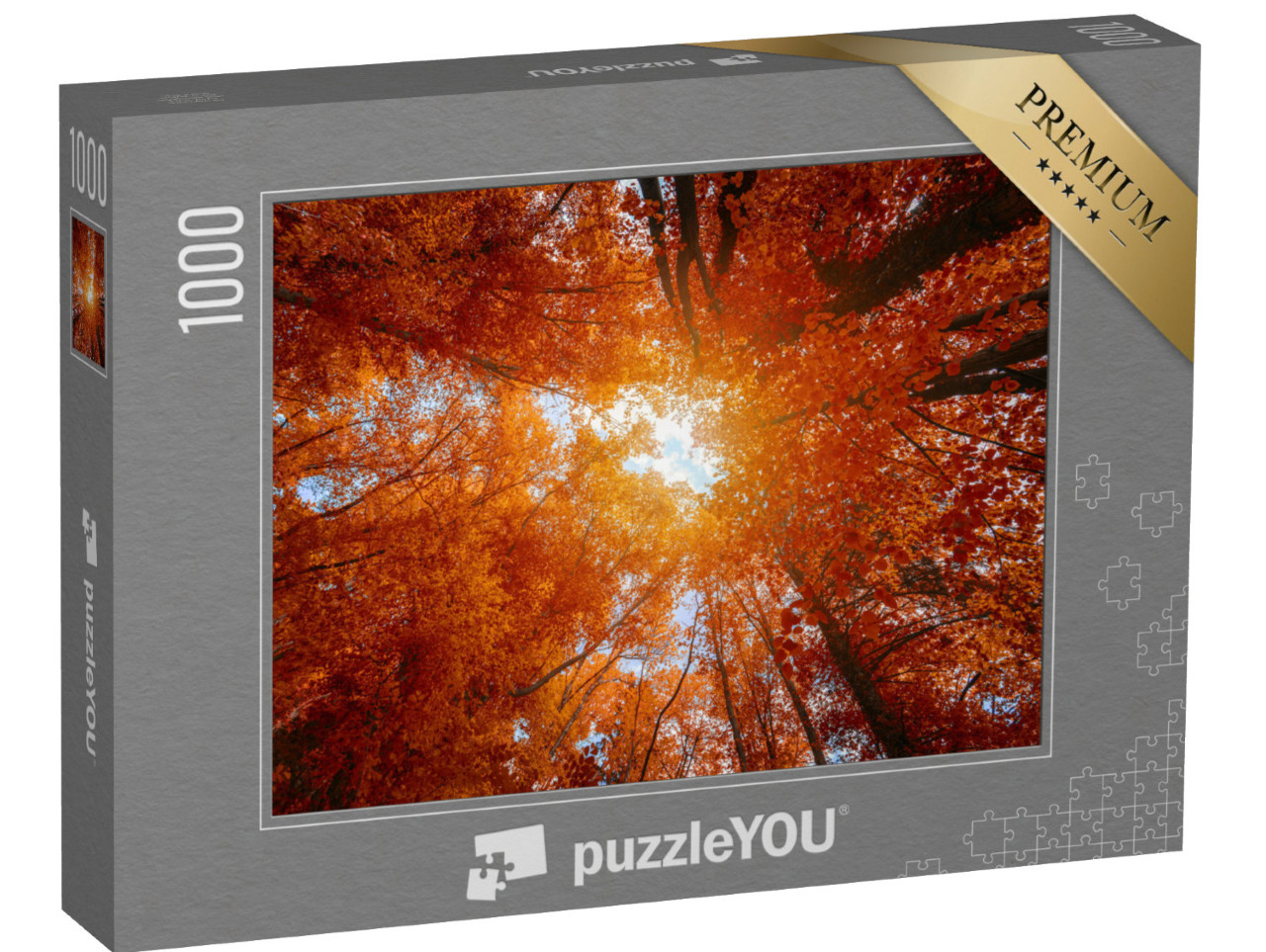 Puzzle de 1000 pièces « Coiffes d'arbres multicolores dans la forêt d'automne »
