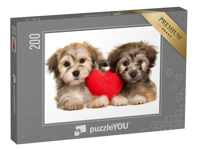 Puzzle de 200 pièces « Chiots havanais »