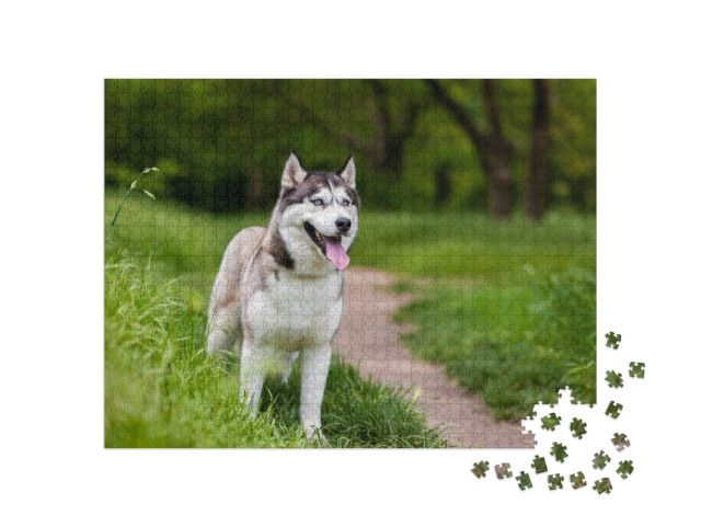 Puzzle de 1000 pièces « Husky sibérien attentif »