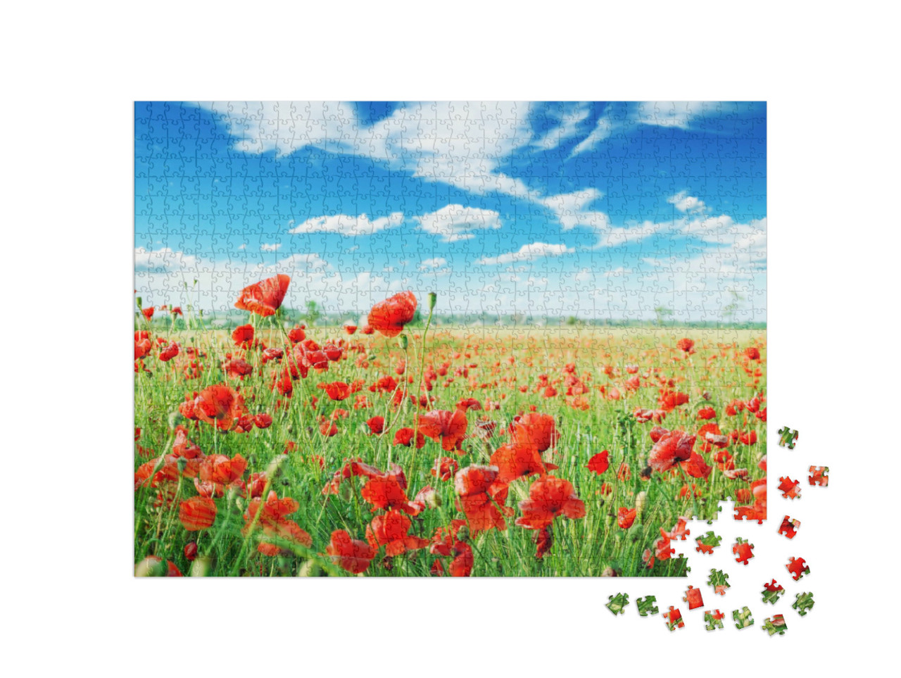 Puzzle de 1000 pièces « Des coquelicots dans un pré vert »