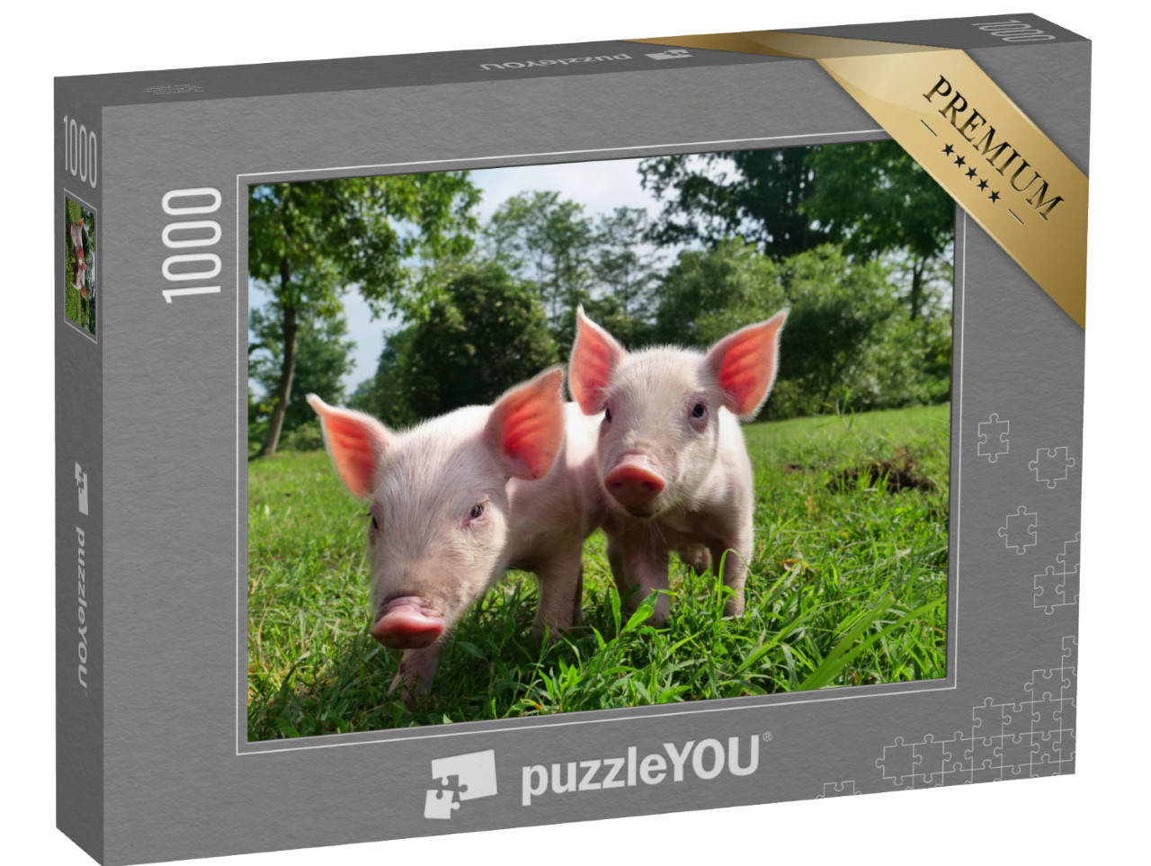 Puzzle de 1000 pièces « Deux porcelets dans une verte prairie »