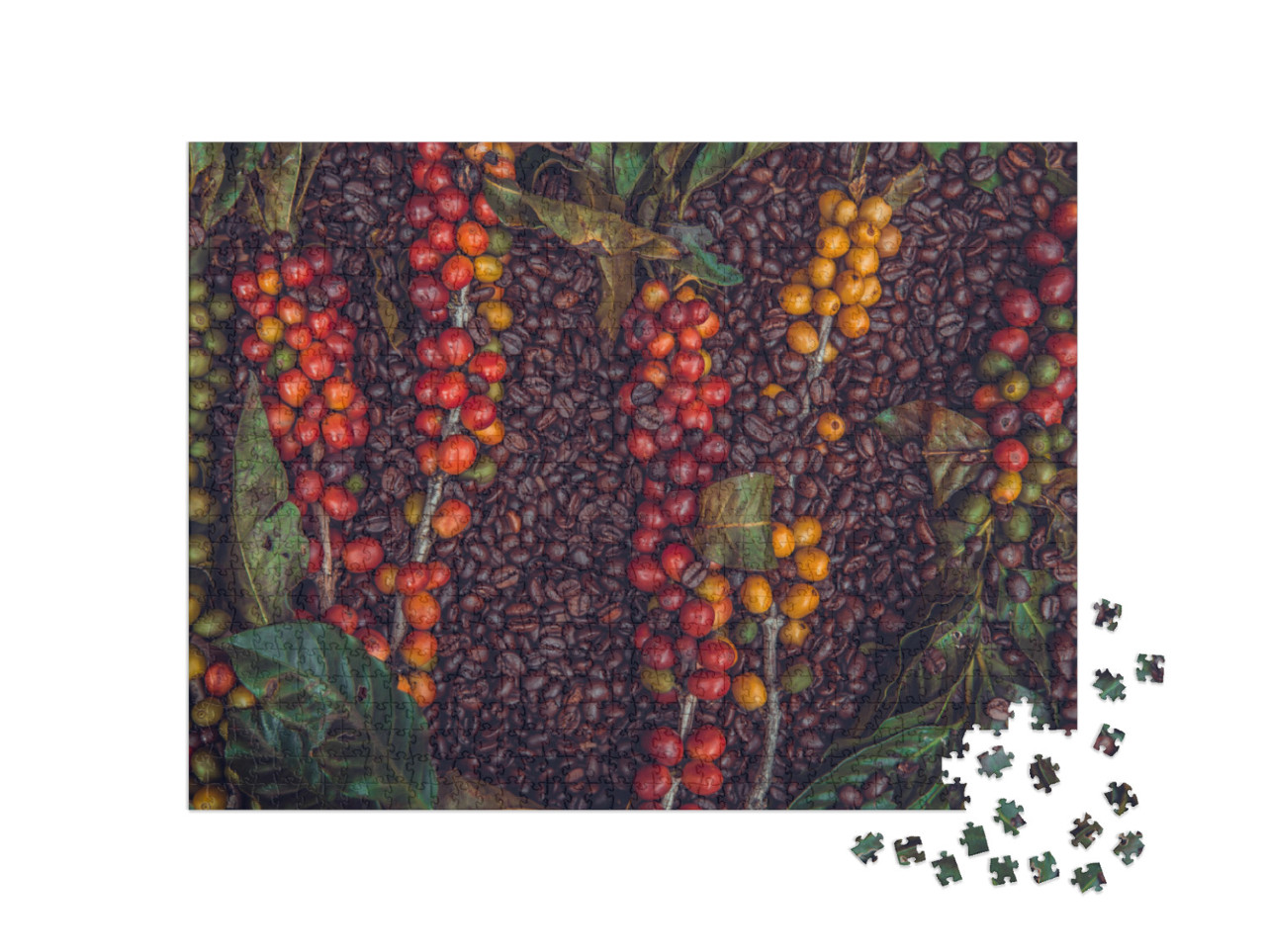 Puzzle de 1000 pièces « Grains et baies de café »