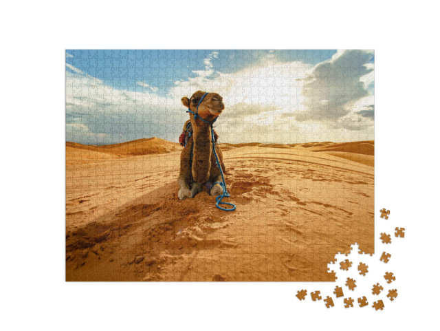Puzzle de 1000 pièces « Chameau au repos dans le Sahara, Maroc »