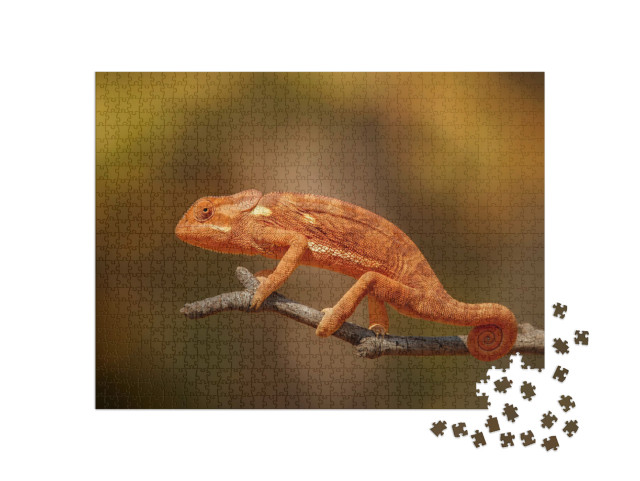 Puzzle de 1000 pièces « Caméléon sauvage en Afrique »