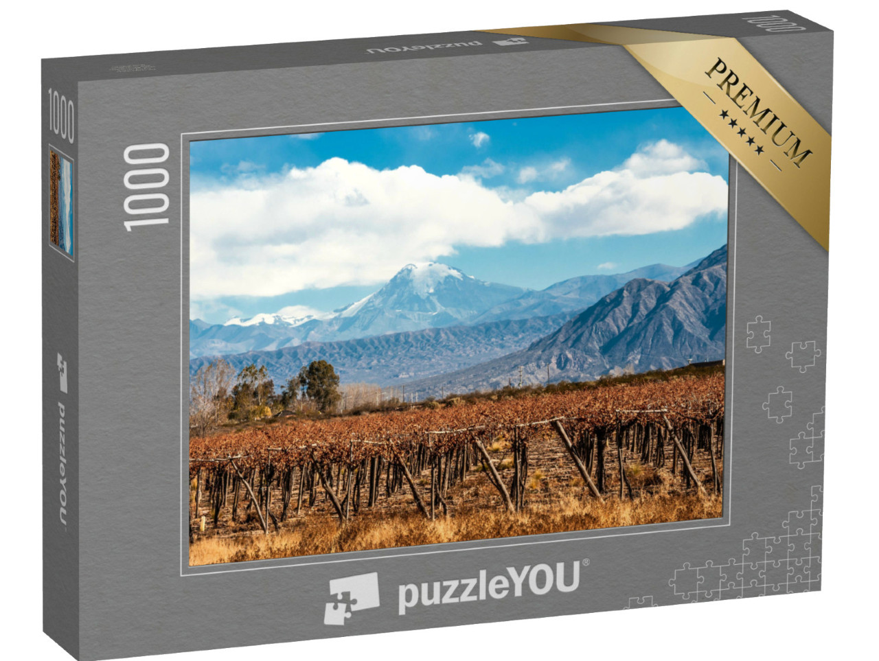 Puzzle de 1000 pièces « Volcan Aconcagua et vignoble, Andes, Argentine »