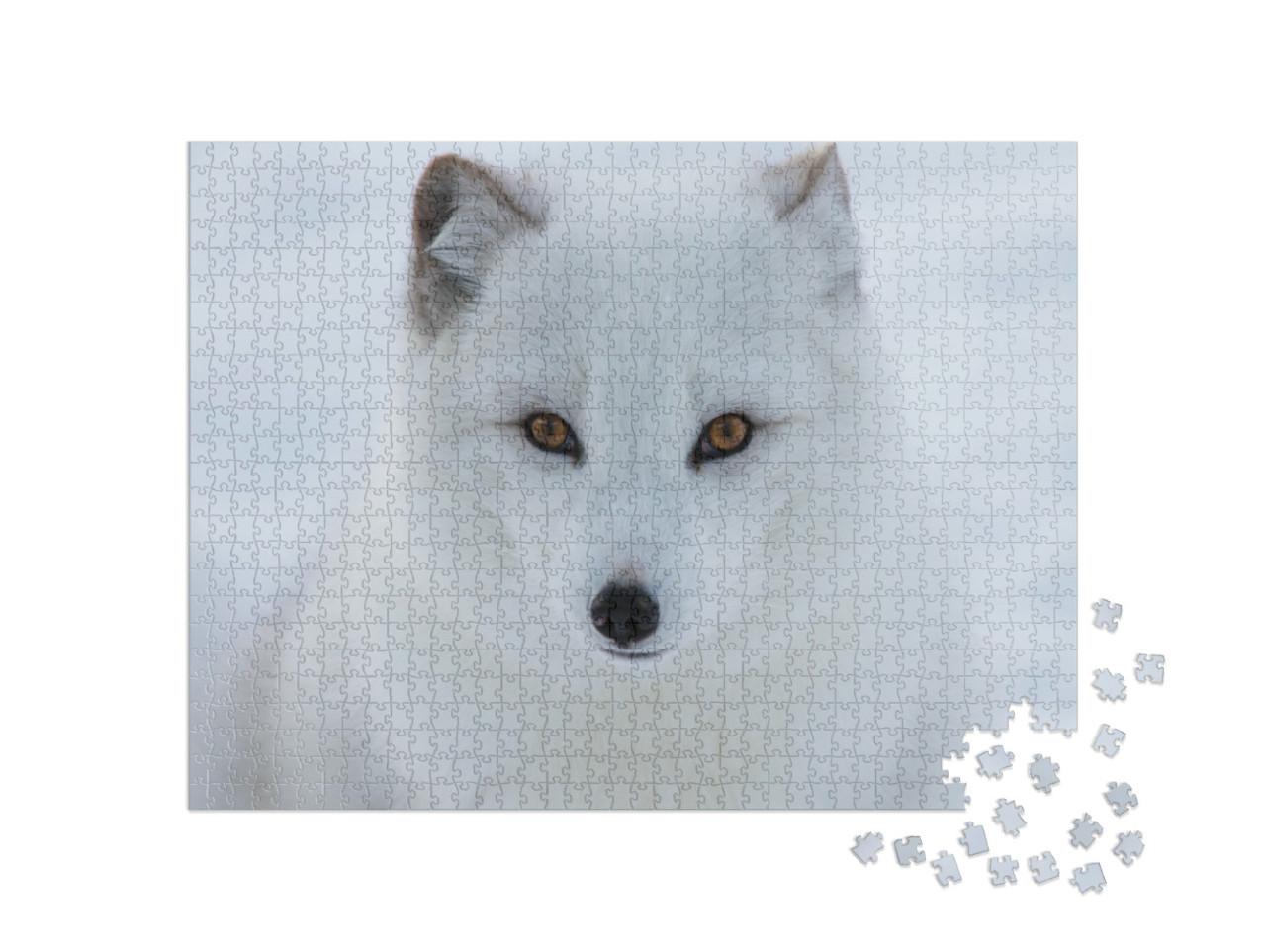Puzzle de 1000 pièces « Portrait d'un renard polaire »