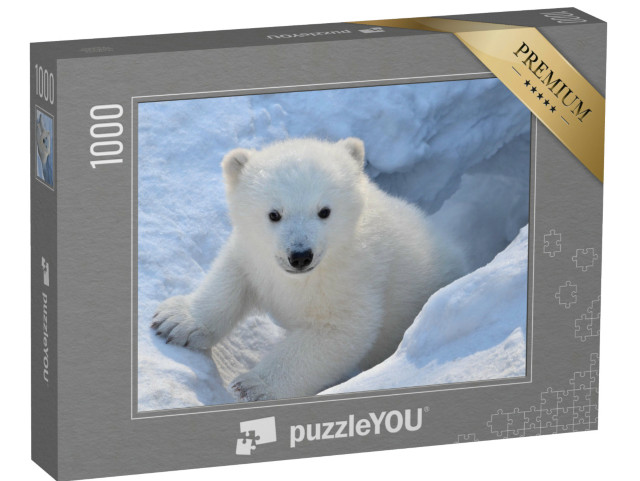 Puzzle de 1000 pièces « Portrait d'un ours blanc »
