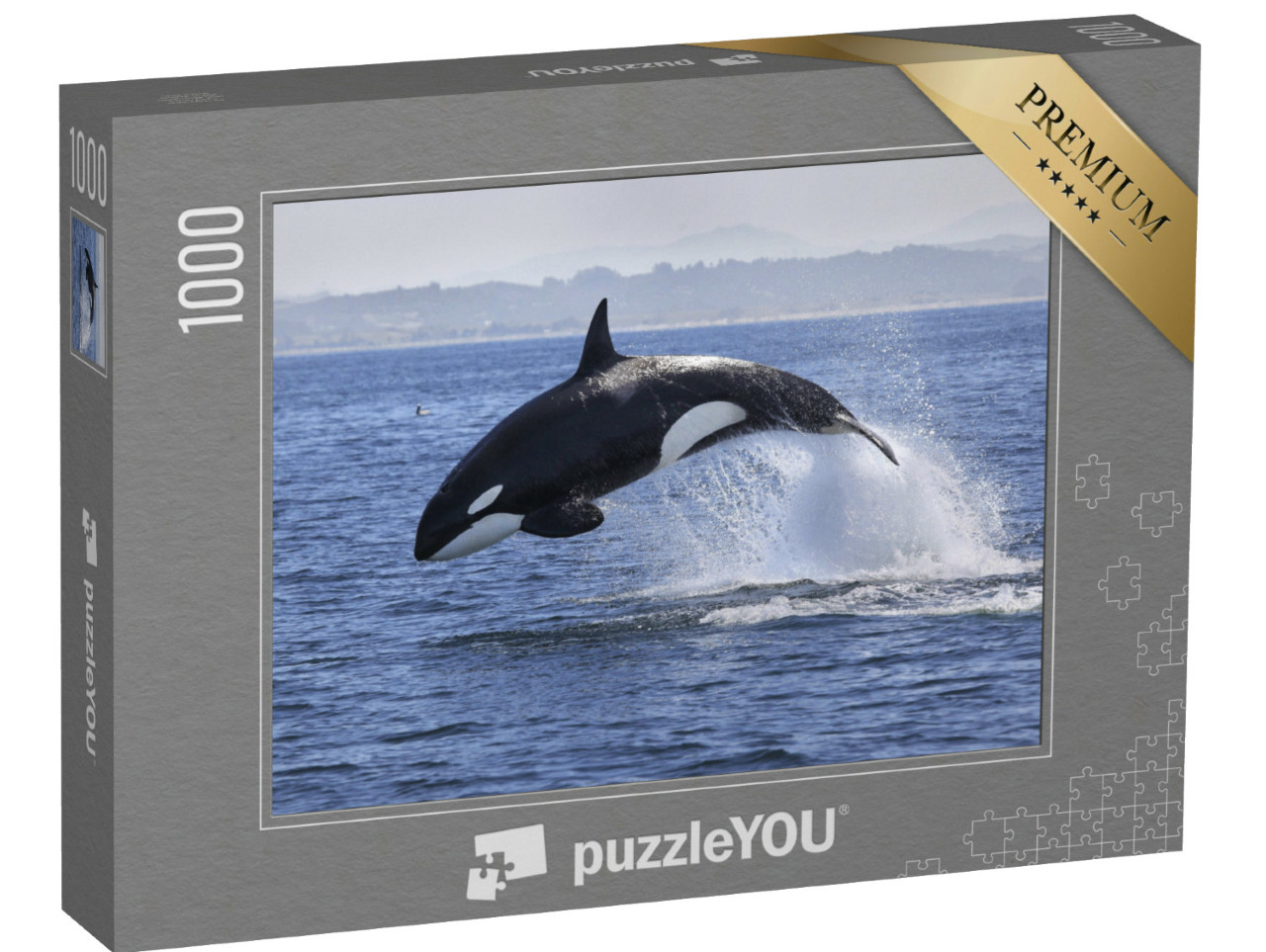 Puzzle de 1000 pièces « Orque, Orcinus Orca, en train de sauter hors de l'eau »
