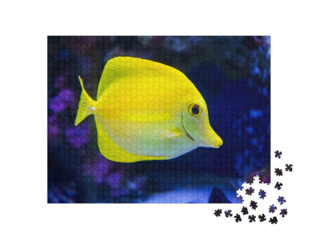 Puzzle de 1000 pièces « Poisson docteur jaune »