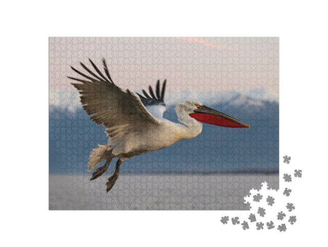 Puzzle de 1000 pièces « Pélican frisé en vol au-dessus du lac Kerkini, Grèce »