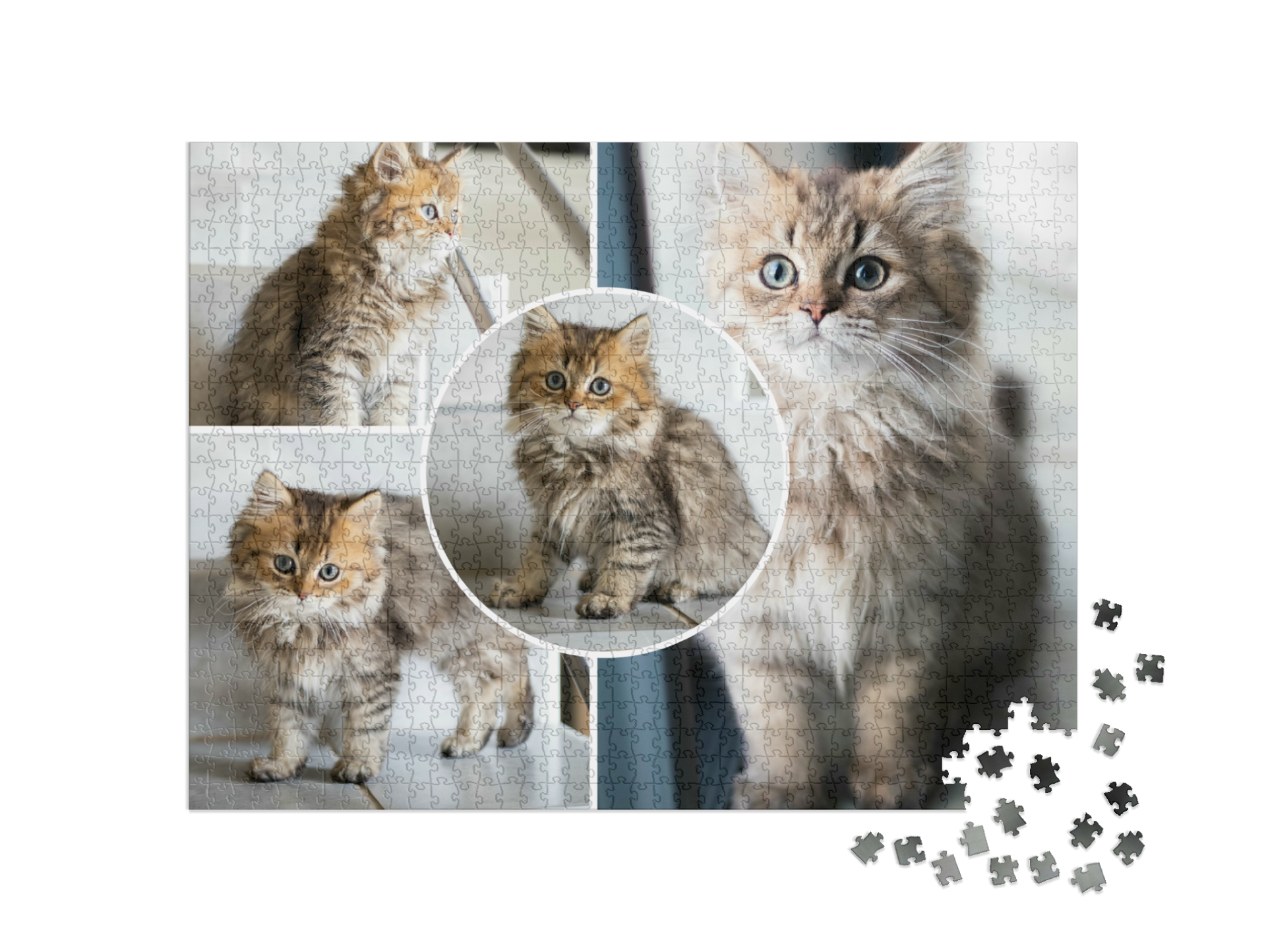 Puzzle pêle-mêle