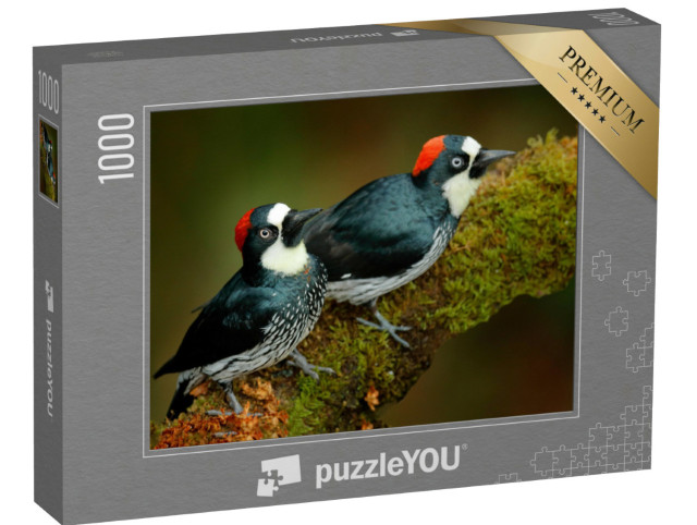 Puzzle de 1000 pièces « Deux pics de chêne sur une branche couverte de mousse »
