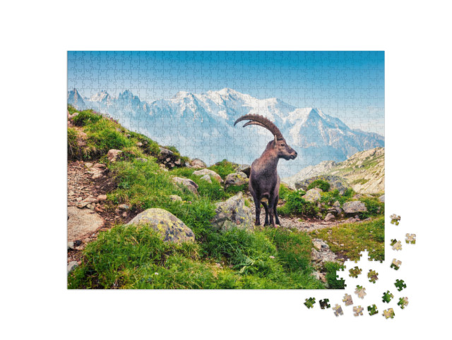 Puzzle de 1000 pièces « Bouquetin des Alpes sur fond de Mont-Blanc »