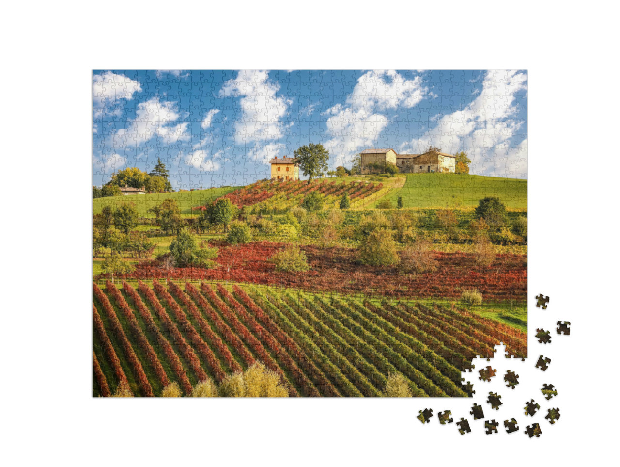 Puzzle de 1000 pièces « Vignobles de Lambrusco près de Castelvetro, Émilie-Romagne, Italie »