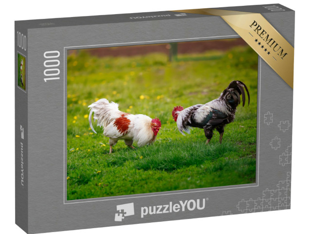 Puzzle de 1000 pièces « Deux coqs dominants, prêts à se battre »