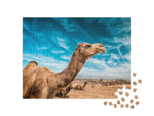 Puzzle de 1000 pièces « Chameau à la Pushkar Mela »