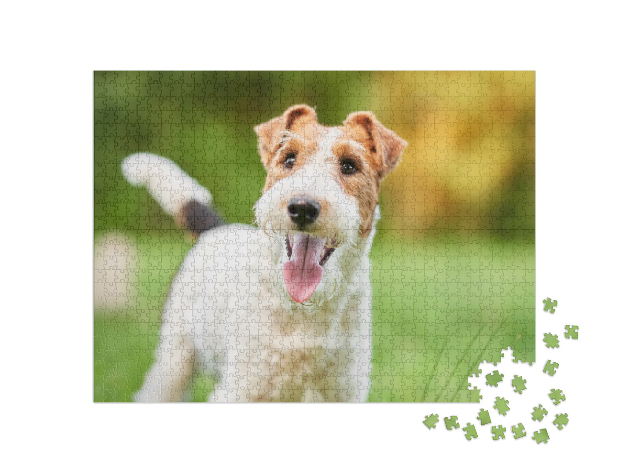 Puzzle de 1000 pièces « Gros plan sur un fox-terrier heureux »