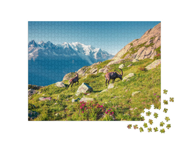 Puzzle de 1000 pièces « Bouquetin des Alpes sur fond de Mont-Blanc dans le parc naturel du Vallon de Bérard, Chamonix, Alpes grises »