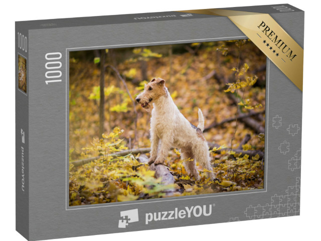 Puzzle de 1000 pièces « Fox-terrier à poil dur Automne »